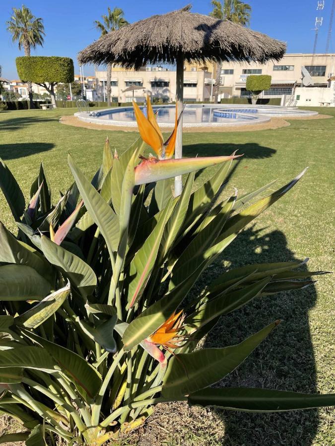 Apartamento Flamingo Gran Alacant Santa Pola Luaran gambar